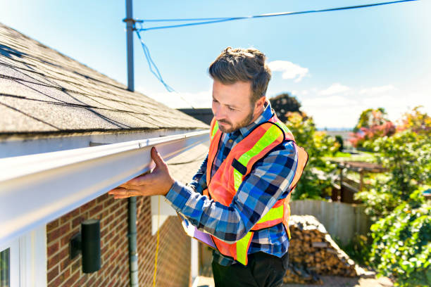 Best Chimney Flashing Repair  in Chisholm, MN